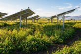 AleaSoft; fotovoltaica y regeneraci�n del suelo, un nuevo paradigma en la transici�n energ�tica