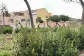 El Ayuntamiento de Cartagena impulsa un plan de choque para la reposici�n de arbustos
