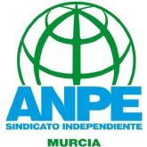 ANPE critica la saturaci�n de opositores por tribunal
