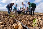 El Ayuntamiento defiende la patata temprana con apoyo a los productores, el impulso de la investigaci�n y la promoci�n de su consumo