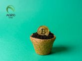 AGROUSD se consolida como opci�n estable para operaciones digitales en el ecosistema agro