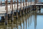 El �gusano de barco� amenaza la estabilidad de los balnearios del Mar Menor