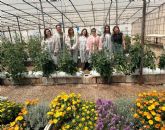 El CEBAS-CSIC impulsa un proyecto para recuperar variedades tradicionales de tomate frente al cambio climático
