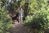 TodoMascota analiza c�mo la llegada del buen tiempo transforma las rutinas y cuidados del perro