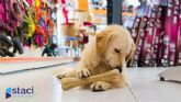 Más de 5.000 millones de euros y una ley que lo cambia todo: el PLV en tiendas de mascotas se reinventa con Staci