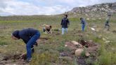 CO2 GESTI�N, FOXY, y Fundaci�n Alcoraz consolidan su compromiso ambiental con un nuevo bosque en Galicia