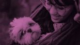 Datamars España desarrolla soluciones para la trazabilidad del ganado y la identificación de mascotas