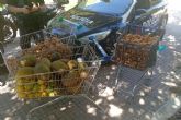 Policía Local inspecciona mercados para prevenir venta ambulante no autorizada