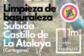 Ayuntamiento y ANSE ponen en marcha una campa�a de retirada de residuos en el Barrio de la Concepci�n