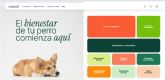 Hundwell: la plataforma de bienestar canino que busca acabar con el abandono de perros en Espana