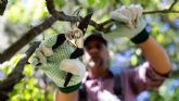 C�mo las herramientas agr�colas favorecen cultivos m�s sostenibles