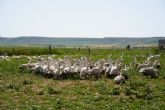 Influencers y periodistas descubren en Palencia el origen del Foie Gras