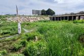 El Ayuntamiento de Cartagena refuerza los trabajos de control de plagas tras el incremento de insectos