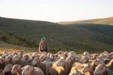 La Mancomunidad de Tierras Altas celebrar� del 19 al 21 de junio la XVI edici�n de �Somos Trashumantes�