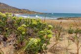 Cortes de caminos en Calblanque por obras