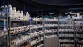 Dejavu Brands consolida el marketing olfativo como herramienta estrat�gica para empresas en Espa�a y mercados internacionales