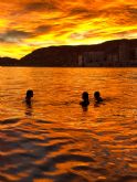 Delfinautica impulsa en Alicante una escuela n�utica de formaci�n real, seguridad y experiencias en el mar
