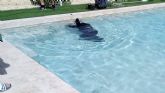 Telefuga, especialistas en la localizaci�n de fugas en piscinas con tecnolog�a avanzada