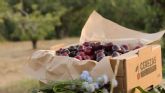 El recorrido de la cereza del Jerte con La Reina del Valle, del �rbol al hogar