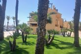 Cartagena renueva espacios verdes en Isla Plana, Cabo de Palos e Islas Menores con nuevas plantaciones sostenibles