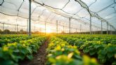 Las estructuras agrovoltaicas de AlphaTracker reducen hasta un 40% el consumo de agua en el campo y protegen los cultivos del calor extremo