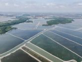 OBA presenta un informe sobre el impacto medioambiental de la producci�n de langostino importado de Ecuador