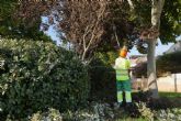 Cartagena intensifica este verano el cuidado de sus zonas verdes con un operativo especial de mantenimiento