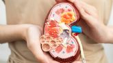 Cerca del 8% de las personas participantes en el programa de cribado de enfermedad renal en farmacias de Gipuzkoa han sido derivadas a Atenci�n Primaria�