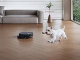 Los perros son la mascota favorita de los espanoles: as� est� cambiando la forma de mantener limpio el hogar