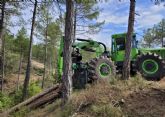 Grup Boix destaca la gesti�n forestal como medida clave contra los grandes incendios