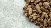 Bifeedoo destaca la importancia del pienso ecol�gico para optimizar la alimentaci�n animal durante el verano