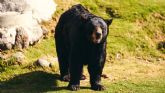 Check Point Software alerta: LockBit, BlackCat o Fancy Bear no son quienes crees