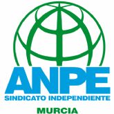 ANPE Murcia exige que el nuevo Decreto de Convivencia refuerce la autoridad del profesorado y garantice una protecci�n real frente a las agresiones