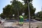 El Ayuntamiento de Cartagena renovar� el arbolado deteriorado en distintos puntos del municipio