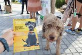 El Ayuntamiento lleva a las playas la campana de concienciaci�n sobre tenencia responsable de mascotas