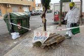 El Ayuntamiento retira vertidos incontrolados de fibrocemento en siete diputaciones y zonas del municipio