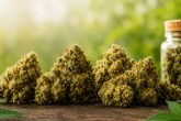 Comprar CBD en Espana en 2026: ?c�mo ha evolucionado el mercado del cannabidiol?
