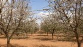 Vitae Health Innovation inicia la cosecha de la �nica plantaci�n de espino amarillo de Espana