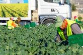 Totana lidera el incremento de afiliados a la Seguridad Social en la Comarca del Guadalentín durante el mes de julio Totana lidera el incremento de afiliados a la Seguridad Social en la Comarca del Guadalentín durante el mes de julio