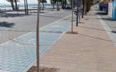 M�s arbolado en el paseo mar�timo
