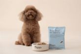 La empresa espanola que quiere que cada perro siga con su dueno dentro de diez anos