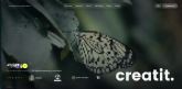 Creatit presenta CRECER y lanza una nueva etapa como agencia digital de alto rendimiento