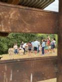 Las visitas a queser�as se ponen de moda: turismo con mucho gusto