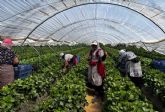 Las personas extranjeras afiliadas a la Seguridad Social con autorizaci�n por arraigo aumentan un 93% el �ltimo ano