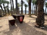 El proyecto de reparcelaci�n del pol�gono I de San Gin�s incorpora la protecci�n del palmeral y la pinada en su desarrollo