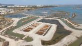 Aponiente impulsa un proyecto pionero de carbono azul en la Salina San Jos�