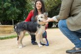 �Qu� hacer este fin de semana en Cartagena? Feria de adopciones de animales, espect�culos y actividades deportivas