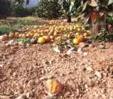 Un incremento de la siniestralidad no se puede traducir en recortes