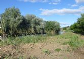 Los centros educativos impartirn talleres sobre el bosque de ribera de la Regin hasta 2019