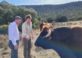 El IMIDA impulsa la recuperacin de variedades tradicionales hortcolas y de la raza autctona de vaca murciana-levantina